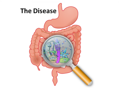the_disease.
